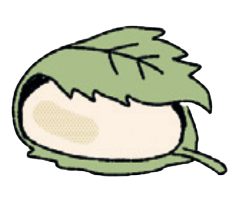 wagashi