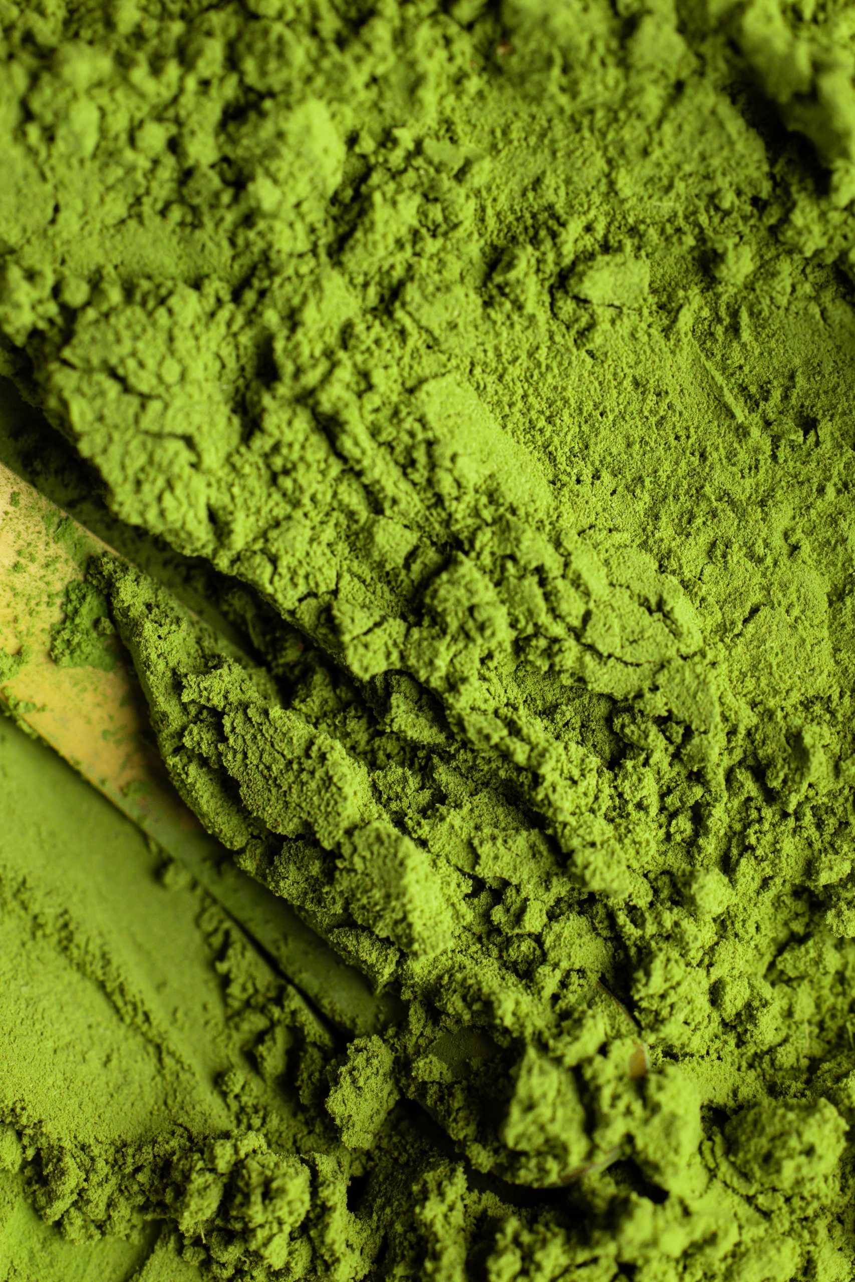 Qu'est-ce que le thé hōjicha ? Origine, torréfaction, goût, caféine et différences avec le matcha : le guide complet du thé vert japonais grillé.